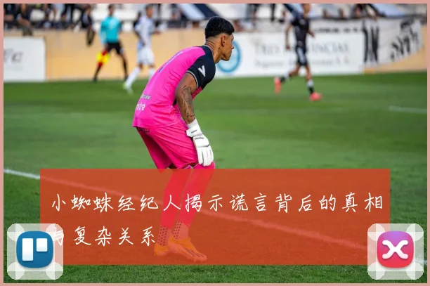 小蜘蛛经纪人揭示谎言背后的真相与复杂关系
