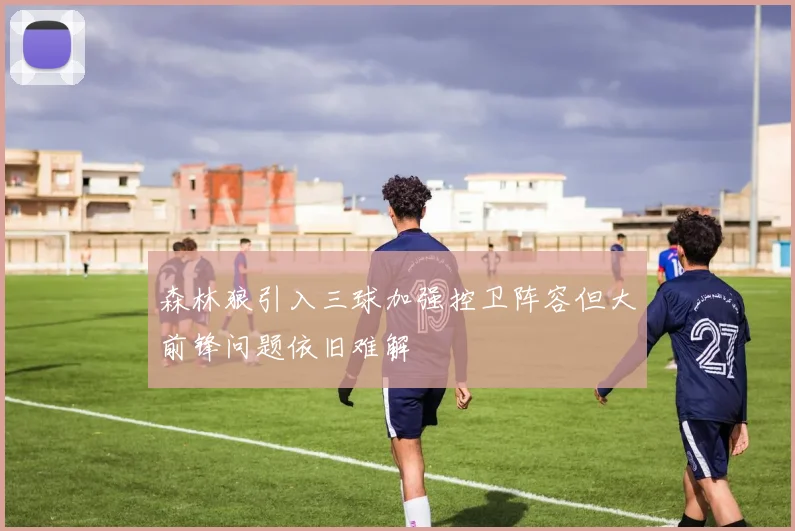 森林狼引入三球加强控卫阵容但大前锋问题依旧难解